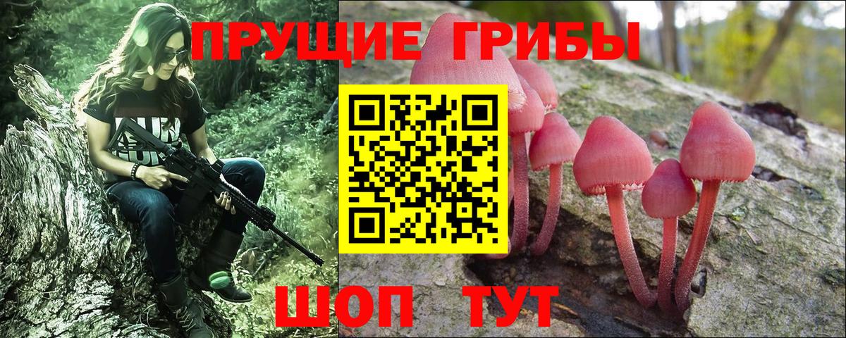 Северск  Псилоцибиновые грибы мухоморы  Вход с VPN 