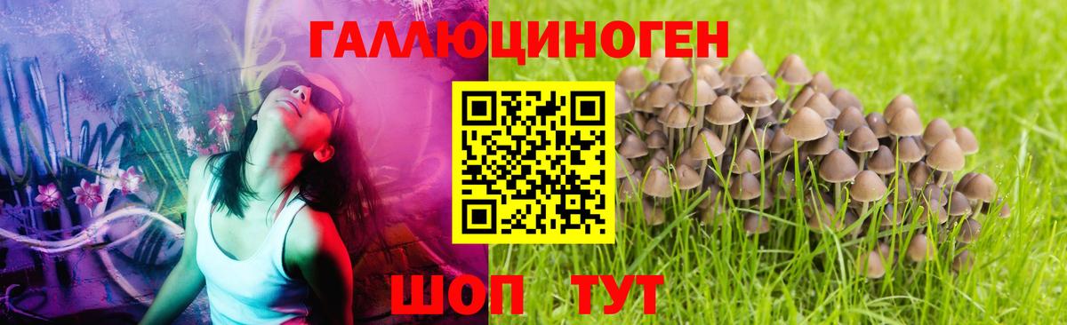 Псилоцибиновые грибы мухоморы Северск